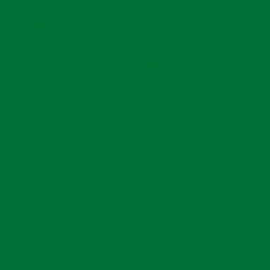 DTDL 9561 BS 2800/2070/18 Tmavě zelená
