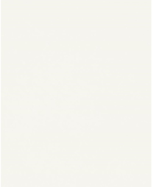 MDF oboustranně laminovaná W960 SM 2800/2070/18 Bílá 